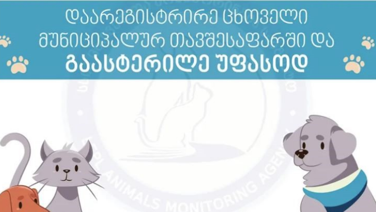 თბილისის ცხოველთა მონიტორინგის სააგენტოში, სტერილიზაცია-კასტრაციის მიზნით, პატრონიანი ცხოველების რეგისტრაცია დაიწყო