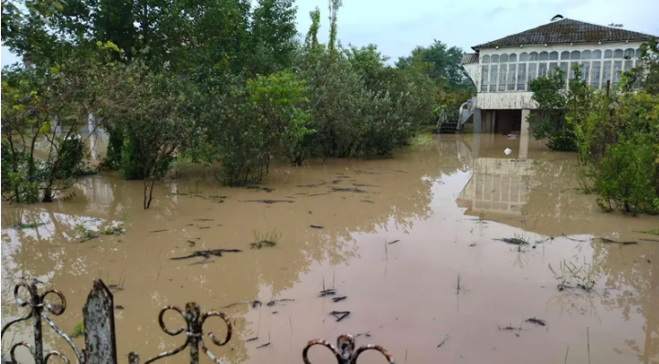 ორს ოზურგეთში, ერთს კი ლანჩხუთის მუნიციპალიტეტში ეძებენ – გურიის გუბერნატორი