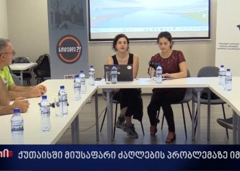 ქუთაისში მიუსაფარი ძაღლების პრობლემაზე იმსჯელეს