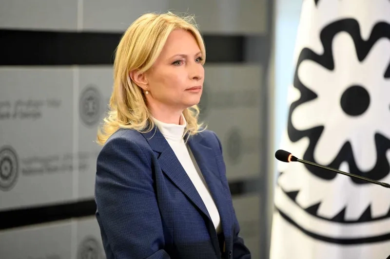 არანაირ ზეწოლას არ ჰქონია ადგილი – თურნავა ოთარ ფარცხალაძისთვის ანგარიშებზე წვდომის აღდგენაზე