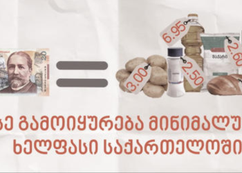 რისი ყიდვაა შესაძლებელი მინიმალური ხელფასით (+ფოტო)