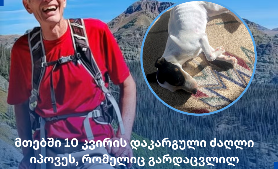 მთებში 10 კვირის დაკარგული ძაღლი იპოვეს – ის გარდაცვლილ პატრონს არ ტოვებდა