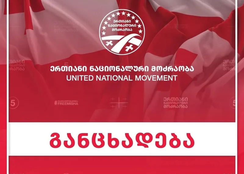 „ნიკა მელია არ იზიარებს მანიფესტით გათვალისწინებულ პრინციპებს,აგრძელებს პარტიის დაზიანების კამპანიას – “ერთიანი ნაციონალური მოძრაობა”