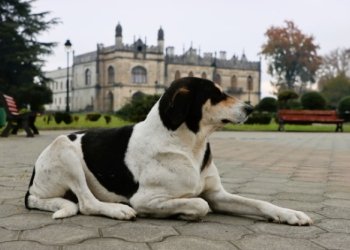 ფოტო: რადიო ათინათი