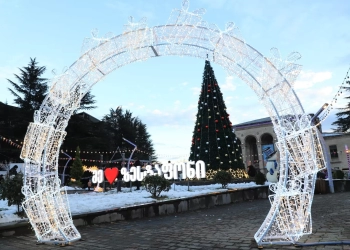 ვინ თავისუფლდება საშემოსავლო და მოგების გადასახადისაგან