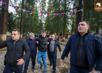 “სავანეს” დემონტაჟის დროს დაკავებული პირი სასამართლოშია გადაყვანილი