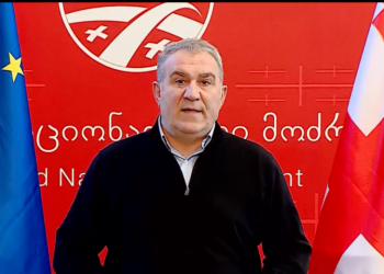 ნუგზარ წიკლაური ნაციონალურ მოძრაობას ტოვებს