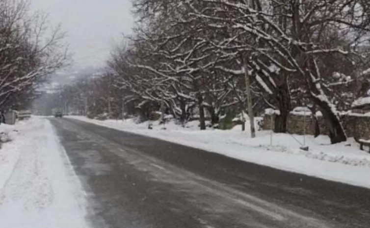 გზის რომელ მონაკვეთზე აღდგა მოძრაობა