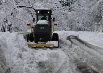 საავტომობილო გზების დეპარტამენტი განცხადებას ავრცელებს