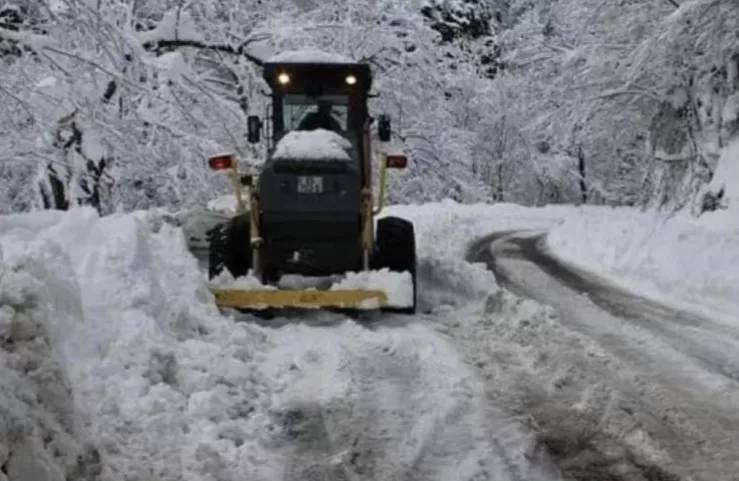 საავტომობილო გზების დეპარტამენტი განცხადებას ავრცელებს