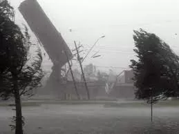 ძლიერმა ქარმა კახეთში ხეები მოგლიჯა, სახურავები გადახადა და ელექტროგადამცემი ხაზები დააზიანა