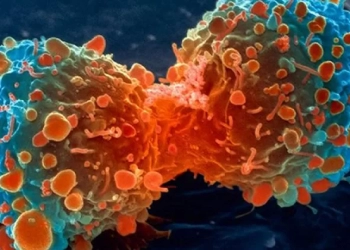 კონკურენციის სააგენტომ ფარმაცევტულ სექტორში 4 კომპანია დააჯარიმა