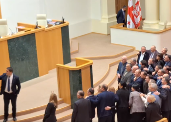 სელფი სესიის დაწყებამდე და ევროპის ჰიმნი სხდომის გახსნისას – რა ხდება პარლამენტში