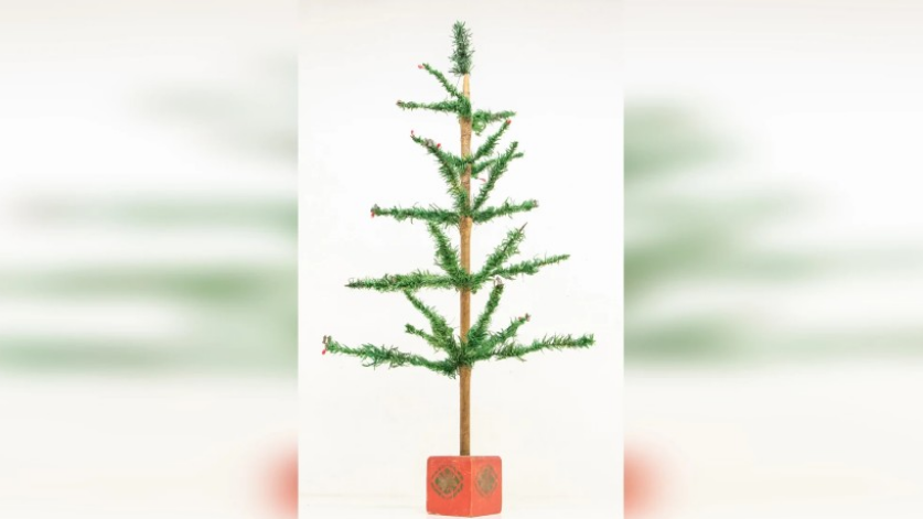 მსოფლიოს ყველაზე „მოკრძალებული“ ნაძვის ხე აუქციონზე 4 000 დოლარად გაიყიდა