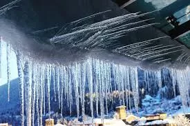 როგორი ამინდი გველის 30-31 დეკემბერს