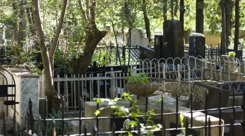 სასაფლაოზე 120 ცოცხალი ადამიანის ფოტო იპოვეს დამარხული