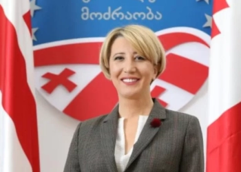 ნინო კვიტაიშვილმა ენმ დატოვა