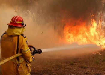 ჩინეთში, მაღაზიაში გაჩენილ ხანძარს 39 ადამიანი ემსხვერპლა