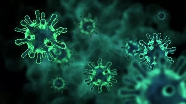 კლინიკებში სეზონური გრიპისა და Covid 19-ის შემთხვევებით მიმართვიანობა გაიზარდა