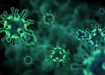 რა სიმპტომებით ვლინდება ვირუსი, რომელიც ახლა, ქვეყანაში ცირკულირებს