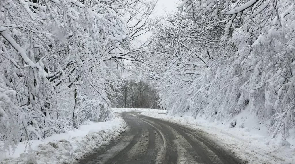 ნაქერალას უღელტეხილზე ტრანსპორტის მოძრაობა აიკრძალა