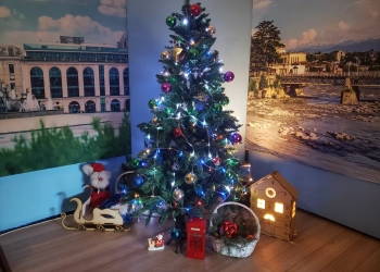 “მეგა ტვ” გილოცავთ ახალ 2024 წელს!