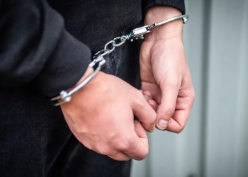 ალბანეთში საქართველოს 2 მოქალაქე დააკავეს