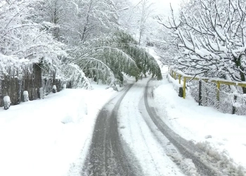 ხაიში-უშგულისა და ლახამულა-უშგულის გზებზე შეზღუდვები დაწესდა