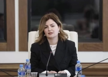 პენსიაზე გასვლა მომინდა-ანა ნაცვლიშვილი ირაკლი კუპრაძეს