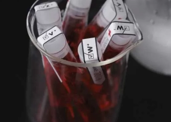 ვლადიკავკაზში საბაჟოზე დააკავეს რუსეთის მოქალაქე, რომელიც საქართველოში კვერცხუჯრედებით სინჯარების გადატანას ცდილობდა