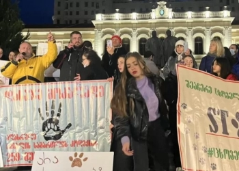 თბილისში აქცია “შეაჩერე ცხოველებზე ძალადობა” გაიმართა