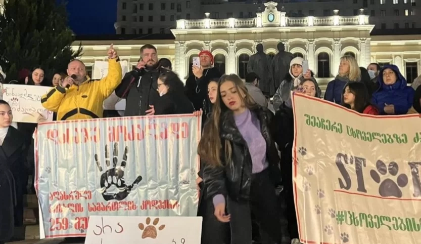 თბილისში აქცია “შეაჩერე ცხოველებზე ძალადობა” გაიმართა