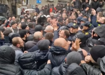 ნატა ფერაძის სახლთან განვითარებულ მოვლენებზე შსს განცხადებას ავრცელებს