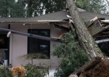 აშშ-ში  ზამთრის შტორმის შედეგად დაღუპულთა რიცხვი 40-მდე გაიზარდა