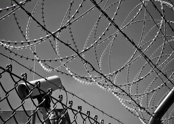 2023 წელს გერმანიამ საქართველოდან თავშესაფრის მაძიებელთა განაცხადების 0,3% დააკმაყოფილა