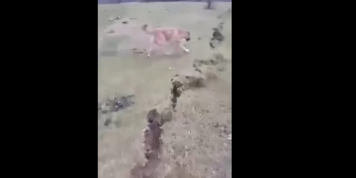 “გარღვეული წყლის ნაკადი,სრულიად წალეკავს ჩვენს დაბლა მოსახლეობას”-ბაღდათში გეოლოგების ჩასვლას ითხოვენ