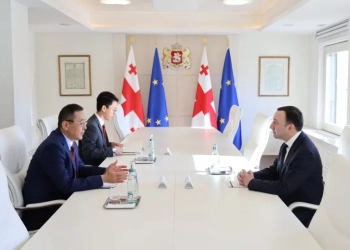 ღარიბაშვილი ჩინეთის ელჩს შეხვდა