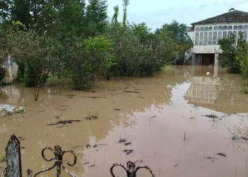 ოზურგეთში, სტიქიის შედეგად დაზარალებულმა 152-მა ოჯახმა, კომპენსაცია მიიღო