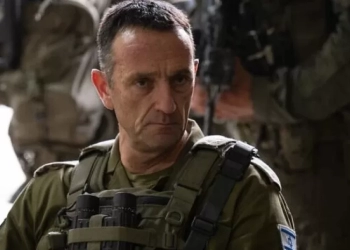 გუშინ გადაიხადეს შვიდი მოკლულით-ჰერცი ჰალევი