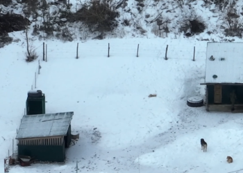 ოკუპანტები საქართველოს ტერიტორიაზე ისევ საგუშაგოებს აწყობენ