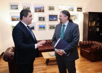 შალვა პაპუაშვილი რიჩარდ ნეფიუს შეხვდა