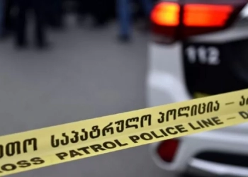 ცხოველების წამების შემთხვევები გახშირდა