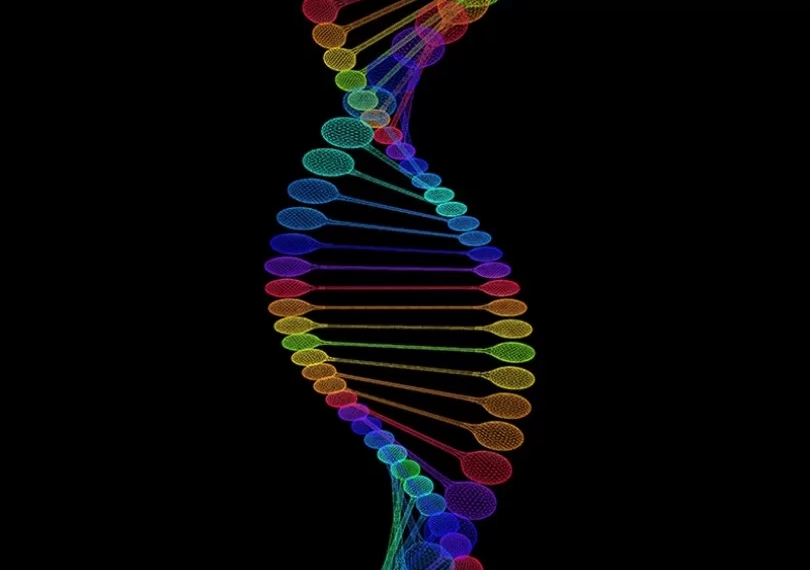 აღმოაჩინეს გენეტიკური მუტაცია, რომელიც პარკინსონის დაავადებისგან იცავს