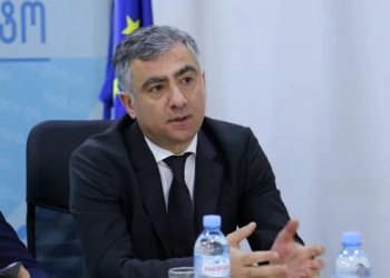 პრაქტიკულად, შეუძლებელი იყო ამ მოვლენის თავიდან აცილება – გარემოს ეროვნული სააგენტოს უფროსი