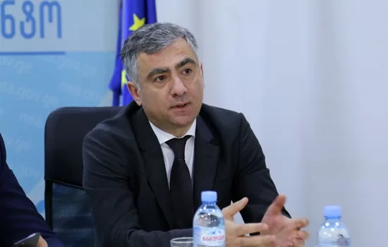 პრაქტიკულად, შეუძლებელი იყო ამ მოვლენის თავიდან აცილება – გარემოს ეროვნული სააგენტოს უფროსი