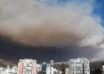 ტყის ხანძრებს ჩილეში 19 ადამიანი ემსხვერპლა