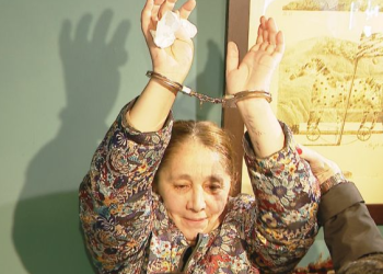 ნატა ფერაძე საკუთარ სახლში დააკავეს