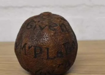 დიდ ბრიტანეთში აუქციონზე 285 წლის ლიმონი გაიყიდა