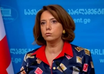 ანრი ოხანაშვილმა სალომე სამადაშვილს დარბაზი დაატოვებინა