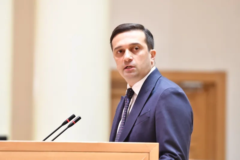 ომბუდსმენის აპარატი იკვლევს, შესაძლებელი იყო თუ არა სტიქიის შედეგად გამოწვეული ტრაგიკული შემთხვევების თავიდან აცილება